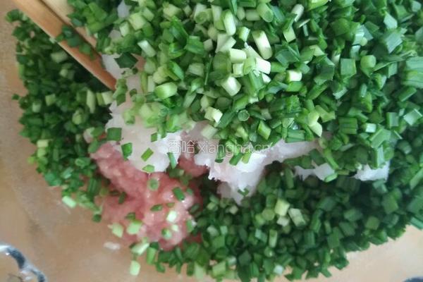 鲅鱼肉蒸饺的做法图解5