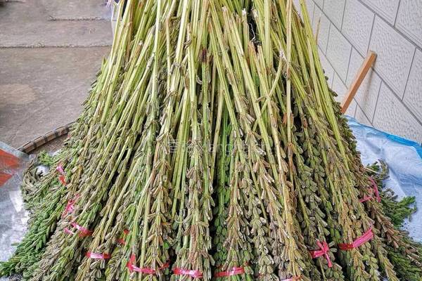 芝麻核桃粉的做法图解1