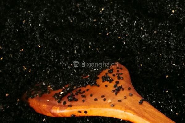 芝麻核桃粉的做法图解7