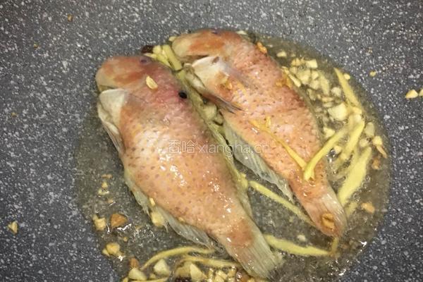 煎煮马头鱼的做法图解3