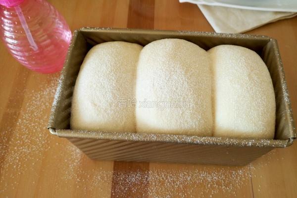 中种酸奶蛋黄吐司的做法图解19