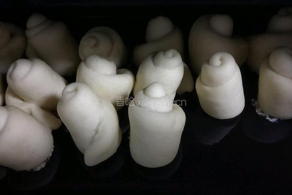 蜂蜜脆底小面包(详细步骤一次成功)的做法图解16