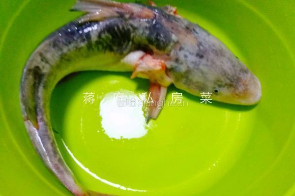 白汁江鮰鱼的做法图解1