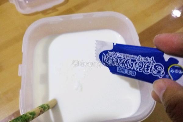 面包机酸奶的做法图解6