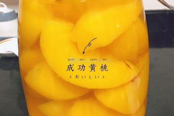 黄桃罐头的做法图解5