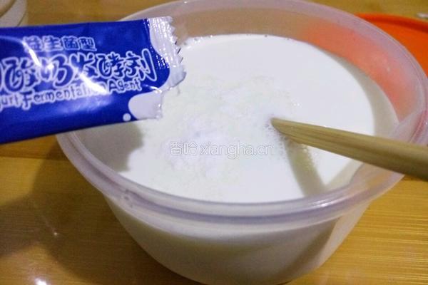电饭煲酸奶的做法图解5