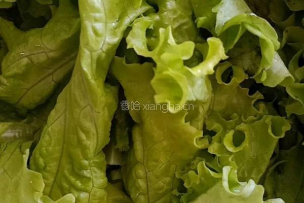东北饭包的做法图解4