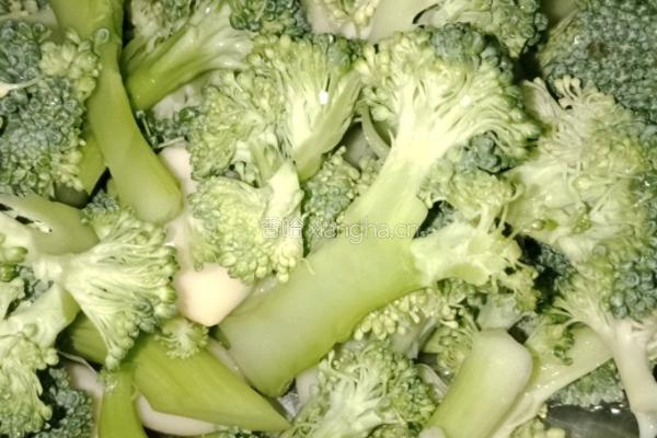 西蓝花宝宝辅食的做法图解1
