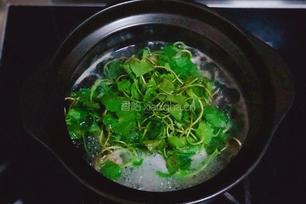 雷公根瘦肉汤的做法图解3