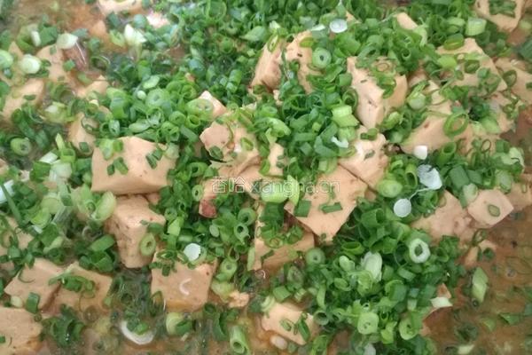 葱香卤肉老豆腐的做法图解3