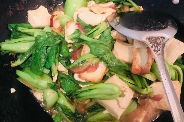 青菜豆腐的做法图解8