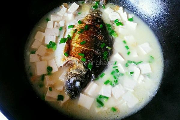 鲫鱼豆腐汤的做法图解7