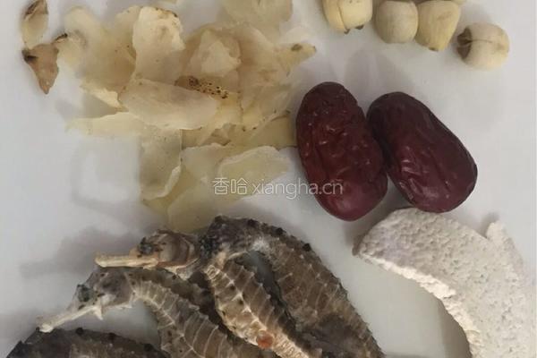 【呷补丨煲汤】海马椰子炖龙骨汤（2一3人份）的做法图解2