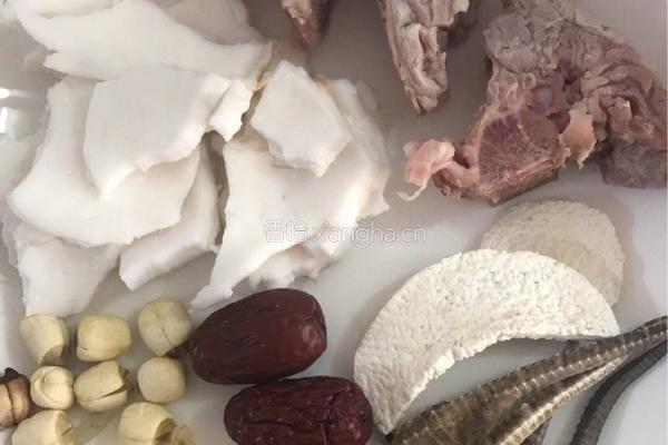【呷补丨煲汤】海马椰子炖龙骨汤（2一3人份）的做法图解4
