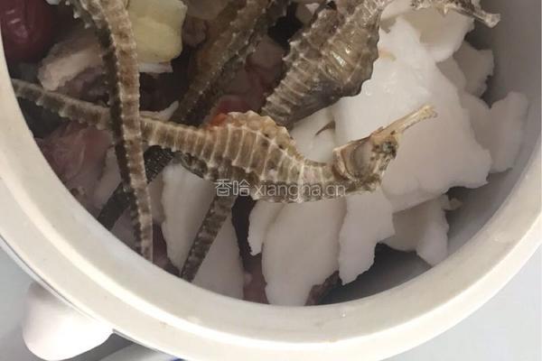 【呷补丨煲汤】海马椰子炖龙骨汤（2一3人份）的做法图解5