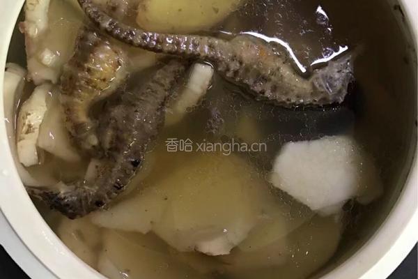 【呷补丨煲汤】海马椰子炖龙骨汤（2一3人份）的做法图解9