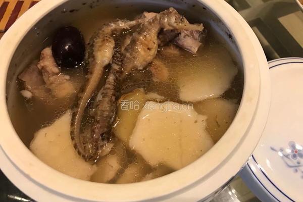 【呷补丨煲汤】海马椰子炖龙骨汤（2一3人份）的做法图解11