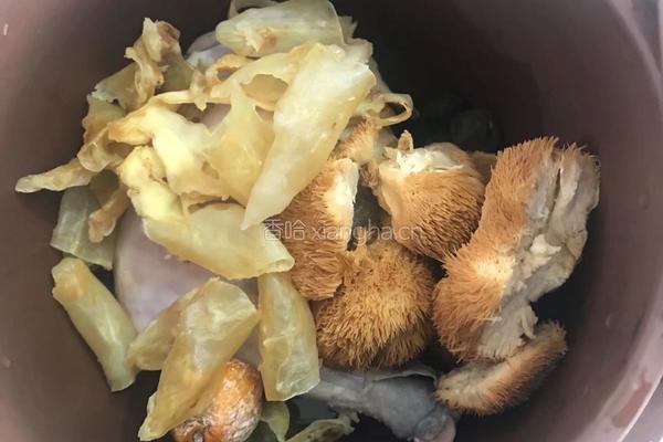 【呷补丨煲汤】猴头菇花胶炖鸡肉汤（3人份）的做法图解4