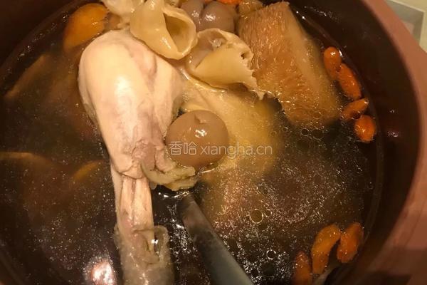【呷补丨煲汤】猴头菇花胶炖鸡肉汤（3人份）的做法图解8