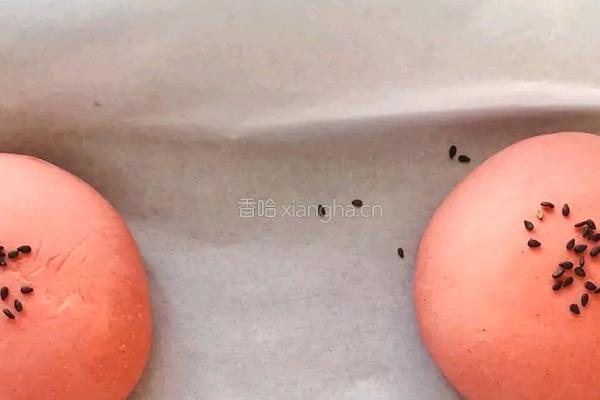 可爱汉堡的做法图解11