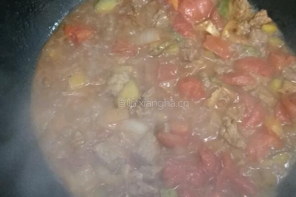 家常炖牛肉的做法图解6