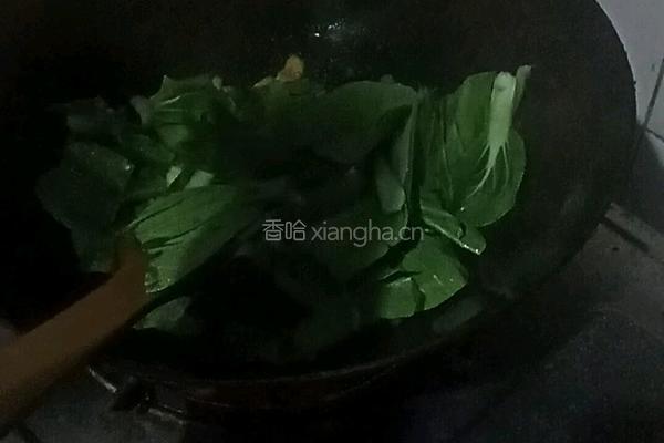 瘦肉炒油菜木耳的做法图解5