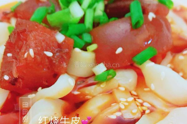 红烧牛皮的做法图解7