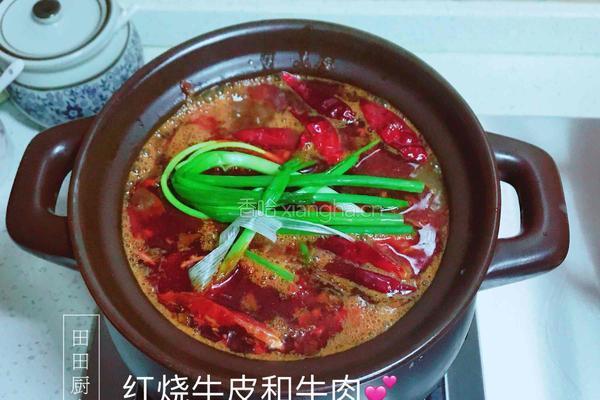 红烧牛皮的做法图解6