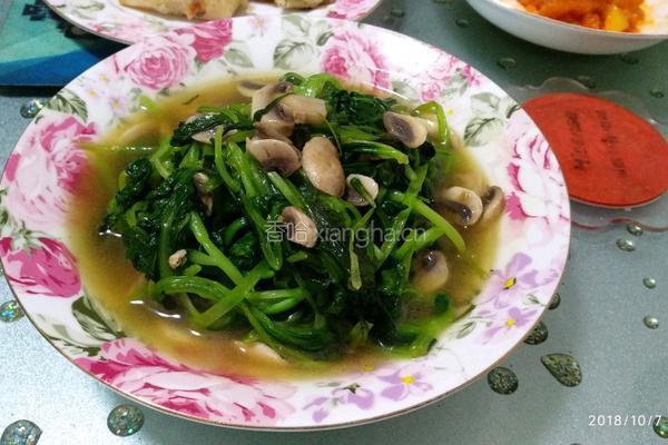 蘑菇清炒鸡毛菜的做法图解4