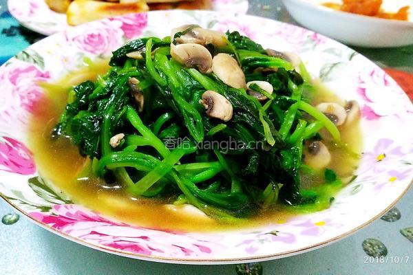 蘑菇清炒鸡毛菜的做法图解5