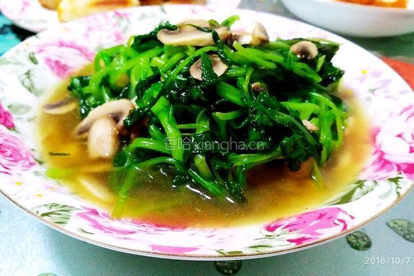 蘑菇清炒鸡毛菜的做法图解6