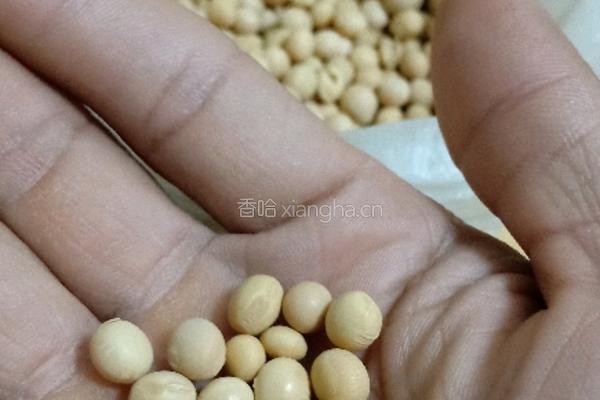 深夜食堂之冬日恋歌的做法图解1