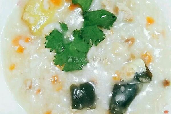 皮蛋瘦肉粥(第一种方法）的做法图解15