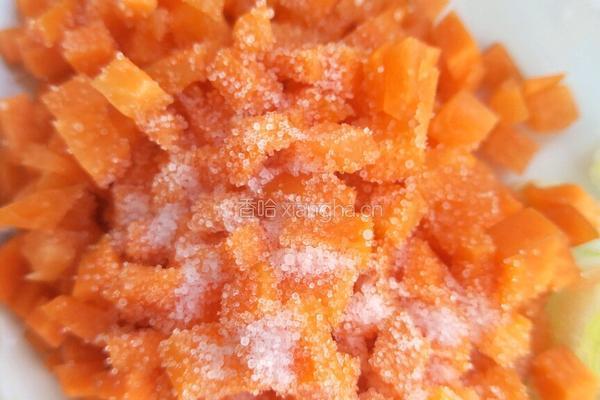 皮蛋瘦肉粥(第一种方法）的做法图解12