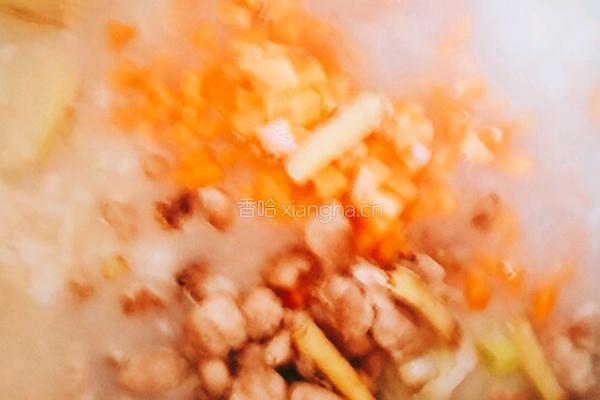 皮蛋瘦肉粥(第二种做法）的做法图解7