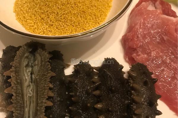 【呷补丨真粥道】小米海参粥（3人份）的做法图解1