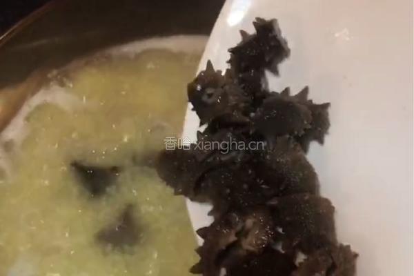【呷补丨真粥道】小米海参粥（3人份）的做法图解8