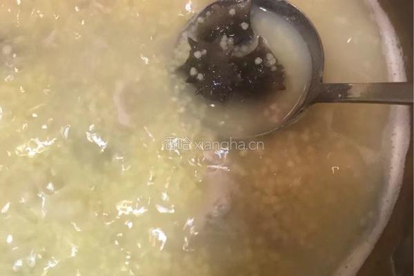 【呷补丨真粥道】小米海参粥（3人份）的做法图解9