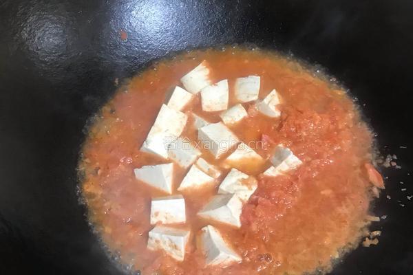 西红柿烩豆腐的做法图解5