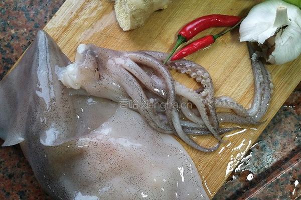 芹菜炒鱿鱼的做法图解1