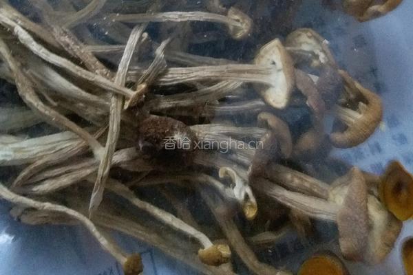 茶树菇烧香煎豆腐的做法图解1