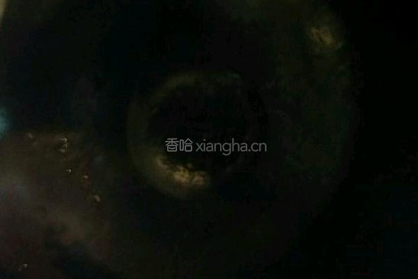 佳肴 意大利面的做法图解4