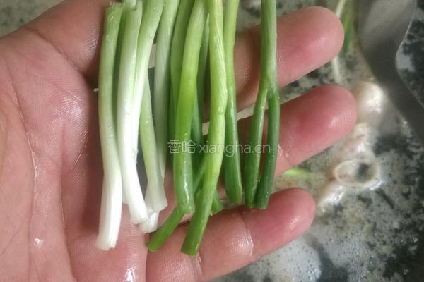 清炖鱼头豆腐汤的做法图解7
