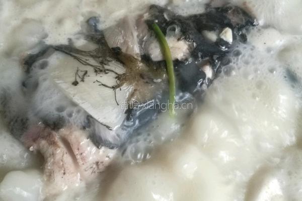 清炖鱼头豆腐汤的做法图解13