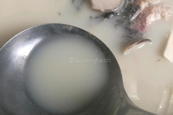 清炖鱼头豆腐汤的做法图解15