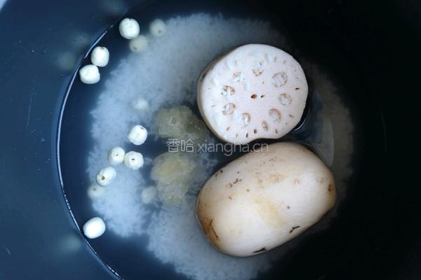 莲藕糯米炖莲子的做法图解2