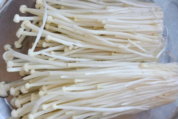 凉拌豆芽豆丝的做法图解1