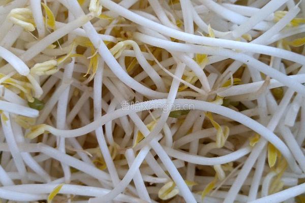 凉拌豆芽豆丝的做法图解3
