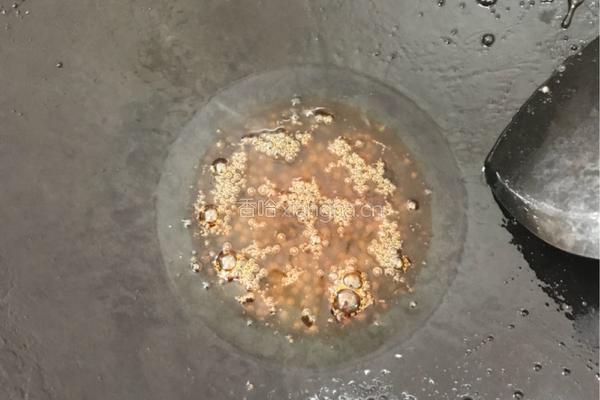 红烧肉的做法图解5