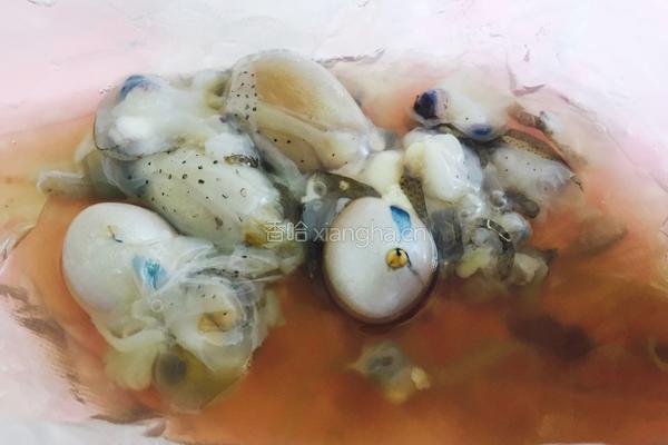 鱿鱼拌饭的做法图解2